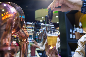  Barman brewing a beer tap pouring a draft beer 