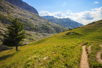 Serene View of Landscape in Prokletije Mountains, Montenegro