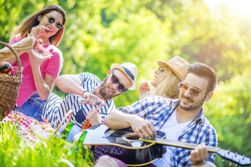 Fototapeta premium Group of friends having picnic in the park