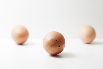 eggs
