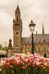 Fototapeta premium Peace Palace, Seat of the International Court of Justice at The