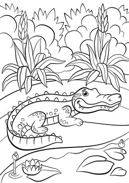 Coloring pages. Animals. Little cute alligator sits near the pond.
