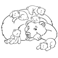Coloring pages. Wild animals. Kind bear looks at little cute baby bears.