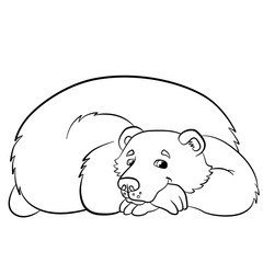 Coloring pages. Wild animals. Kind smiling bear.