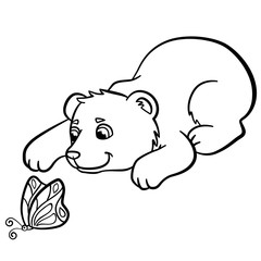 Coloring pages. Wild animals. Little cute baby bear.