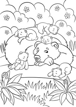 Coloring pages. Wild animals. Kind bear looks at little cute baby bears.