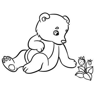 Coloring pages. Wild animals. Little cute baby bear.