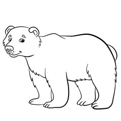Coloring pages. Wild animals. Cute bear smiles.