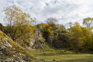 Obraz premium Herbstlandschaft