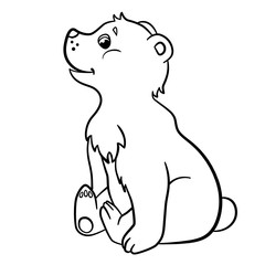 Fototapeta premium Coloring pages. Wild animals. Little cute baby bear.
