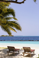 beach chairs on the tropical sand beach