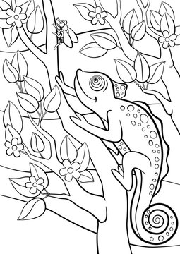 Coloring pages. Wild animals. Little cute chameleon looks at the fly.