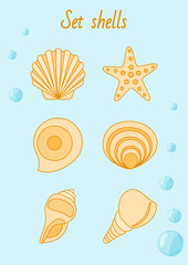 Set of hells and starfish in pastel tones vector illustration.