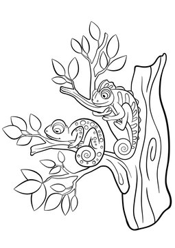 Coloring pages. Wild animals. Two little cute chameleon.