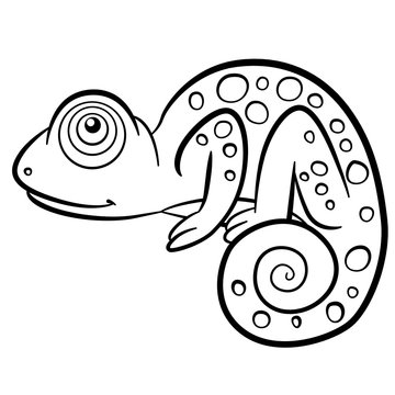 Coloring pages. Wild animals. Little cute chameleon.