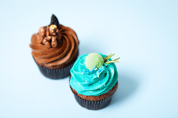 Delicious cupcakes on a blue background