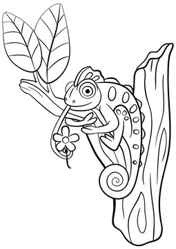 Coloring pages. Wild animals. Little cute chameleon sits on the tree branch.