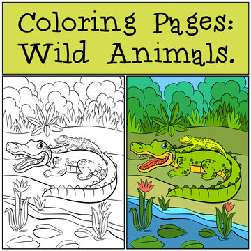 Coloring Pages: Wild Animals. Mother alligator with her little cute baby alligator.