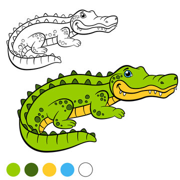 Coloring page. Color me: alligator. Little cute alligator.