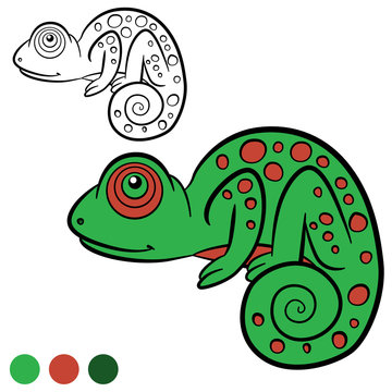 Coloring page. Color me: chameleon. Little cute green chameleon.