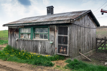 rustic old wodden chicken coop © julied