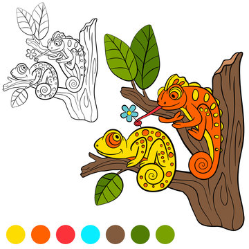 Coloring page. Color me: chameleon. two little cute chameleon.
