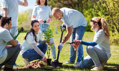 group of volunteers planting tree in park