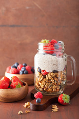 homemade granola and chia seed pudding with berry healthy breakf