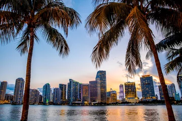 Fotobehang Miami, Florida skyline en baai bij zonsondergang gezien door palmbomen © littleny