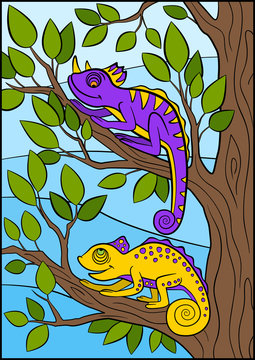 Cartoon animals for kids. Two little cute chameleons.