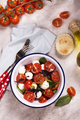 Fresh italian caprese salad