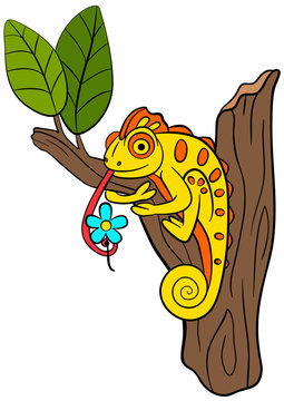 Cartoon animals for kids. Little cute chameleon sits on the tree branch.
