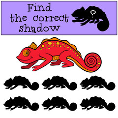 Children games: Find the correct shadow. Little cute red chameleon smiles.