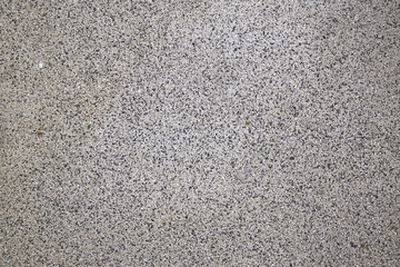  terrazzo floor