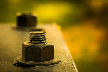 nut,old,very big, big,seize,Lamp post,electricity post.