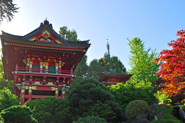 Fototapeta premium San Francisco: la Casa del tè nel Japanese Tea Garden il 16 giugno 2010. Creato nel 1894 all'interno del Golden Gate Park, è il più antico giardino pubblico giapponese negli Stati Uniti