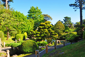 San Francisco: il Japanese Tea Garden il 16 giugno 2010. Creato nel 1894 all'interno del Golden Gate Park, &egrave; il pi&ugrave; antico giardino pubblico giapponese negli Stati Uniti