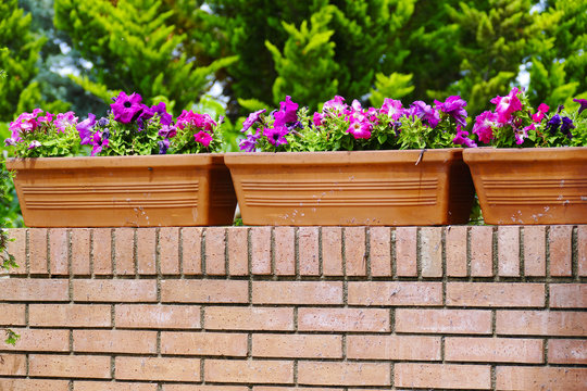 muro de separacion de casas con plantas y tiestos