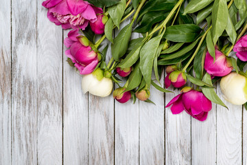 White and pink peonies flowers on white painted wooden planks. Place for text. Square image. Top view.