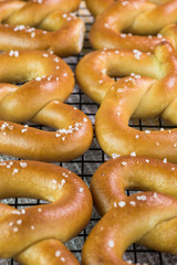 Salted fresh baked soft pretzels.