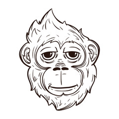 Cool Monkey Face With Line Art Style