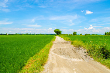 Empty road in the countryside