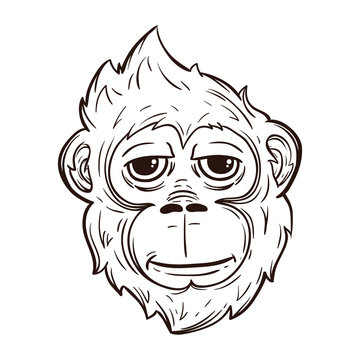 Cool Monkey Face With Line Art Style