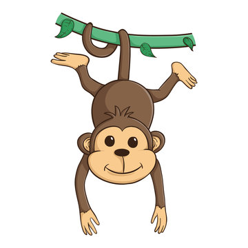 Cute Monkey Hanging On The Green Vines With His Tail
