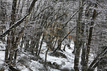Plitvice Lakes National Park - Plitvicka jezera. Croatia