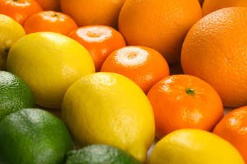 Colorful mixed citrus fruit  sorted and lined up in rows, close up