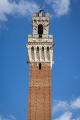 Fototapeta premium Siena, Italy. Torre del Mangia