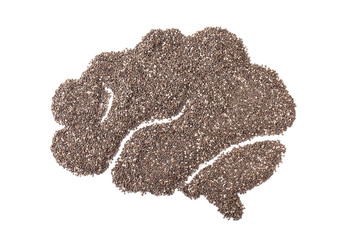 chia seeds or salvia hispanica