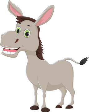 happy cartoon donkey isolated on white background