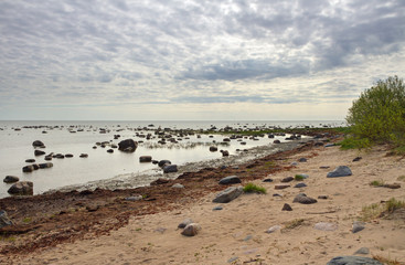 Fototapeta na wymiar Stone Baltic sea.